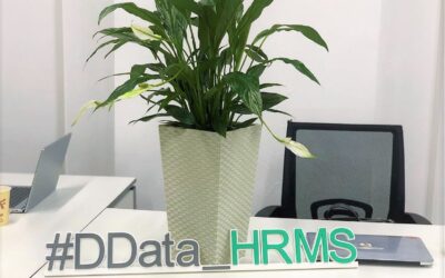 Як обрати HRMS систему?